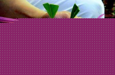 軨