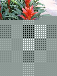 \^
