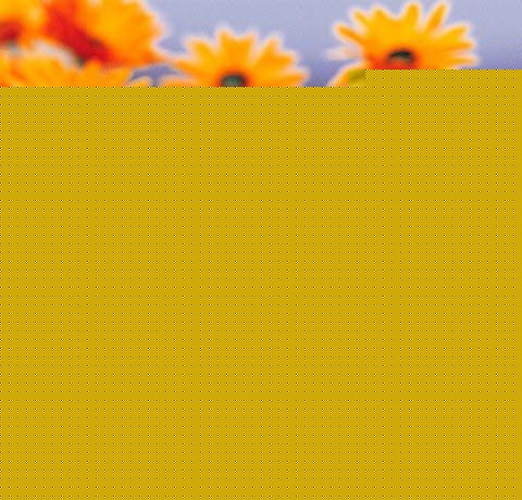 ޾յBֳ
