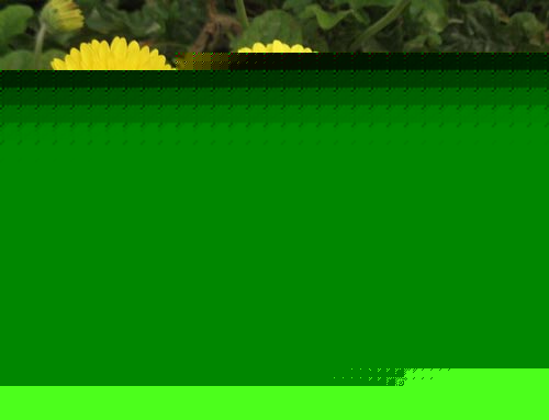 ޾