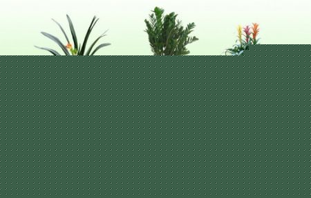 ҃(ni)Ҋֲ