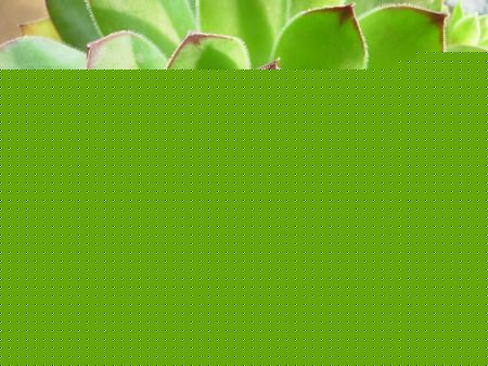^ɏ