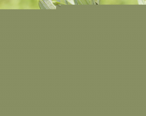 η_h~ݲ?