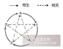 c´ڞg[DƬ