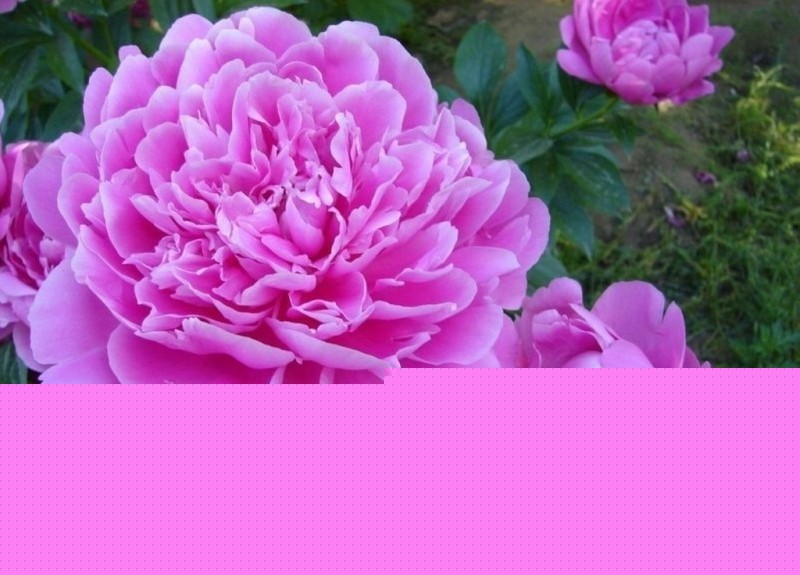 ֪Rȫ