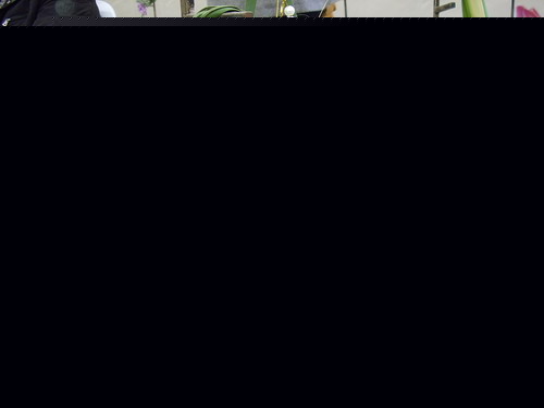 廨p