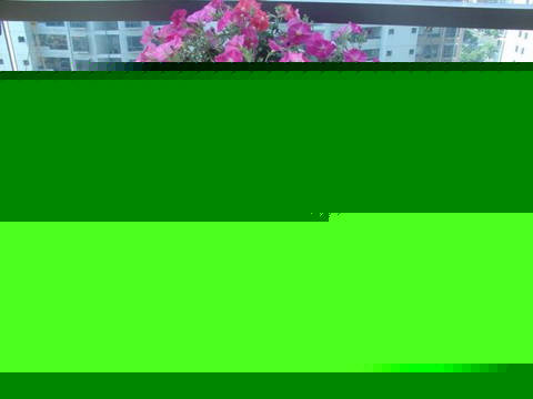 6.ҪW_µĻپ£һͣҪ@ܺõмɵ޼;ڑҴĻݣڻѿγ֮ǰҪժģM֦L͸໨ѿȰl_֮ǰm׷һЩԵʞďͺϷ;עҪʶʩ_֮rֹͣ