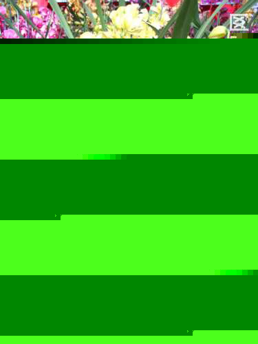 ޥm