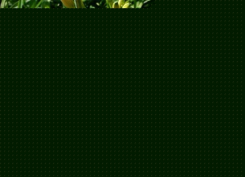 ݵķֳg(sh)