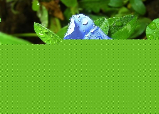PBķNֲɆ}֮ˮϣ