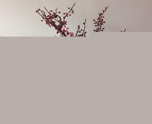 ÷ˮ辰