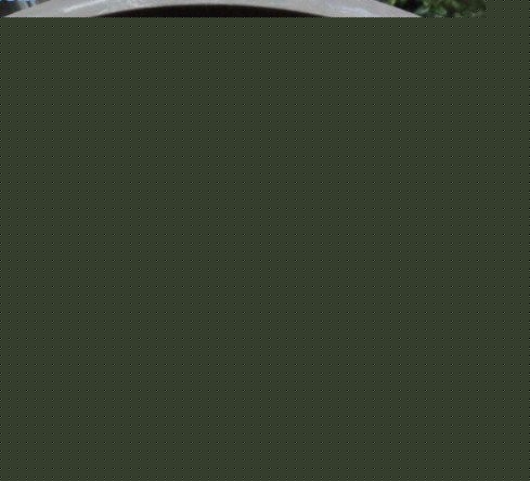 ÷ˮ辰