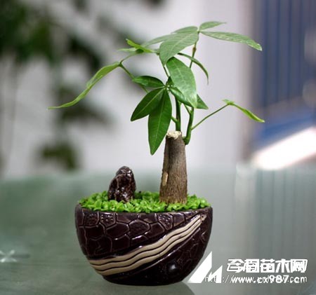 Сlؔ辰