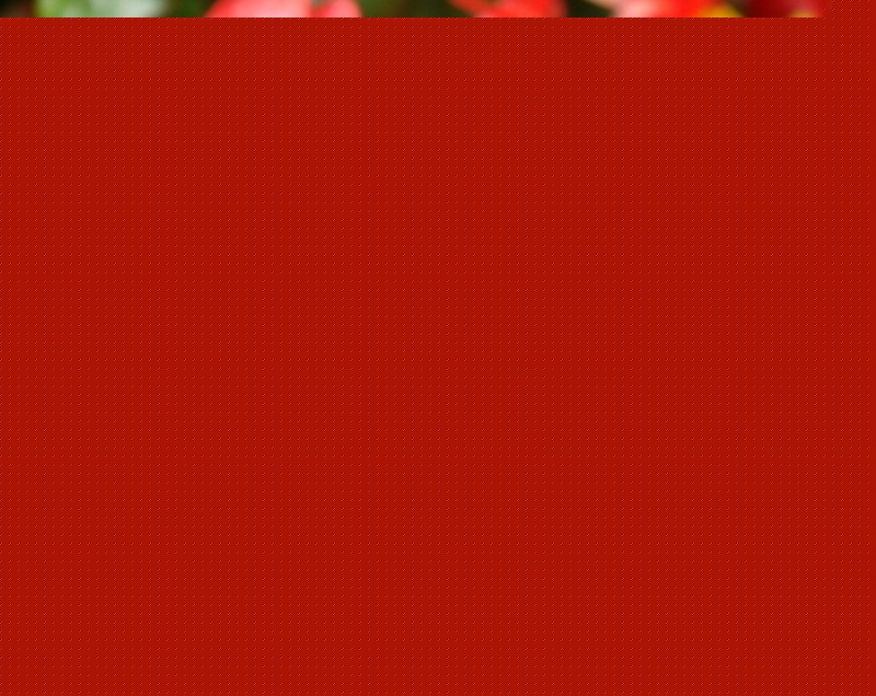 ĻBֳ