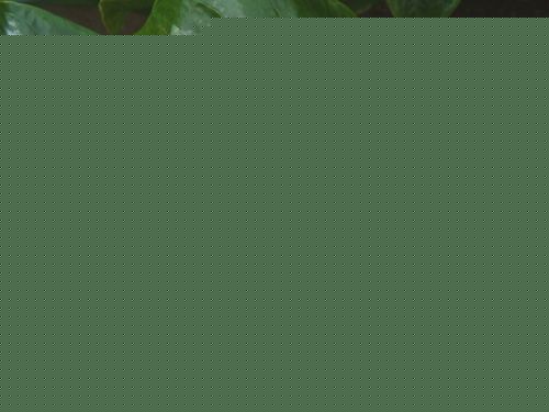 tƈDƬ