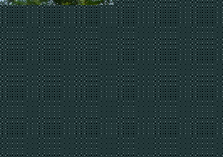 ɽ\