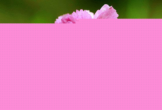 Їʯ