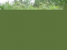 ᘿ
