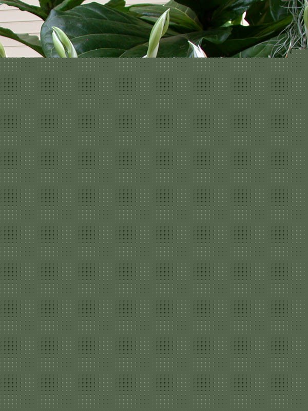 ʲôrMз귱ֳ