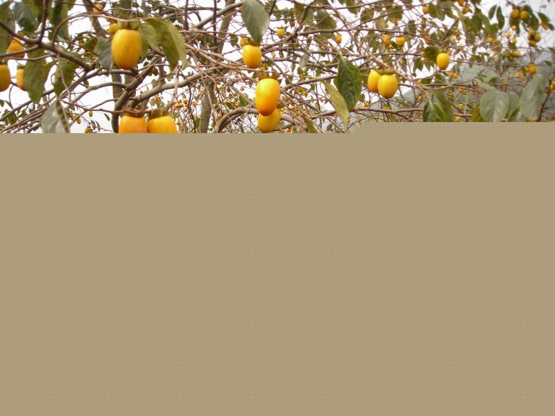 Ә