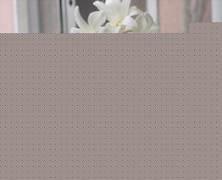 ɫL(fng)ӵĻZ(y)嵭򲻸ұ¶Đ