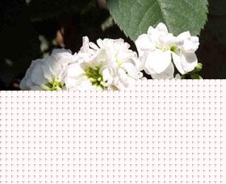 ɫ_m_mĻܻZ