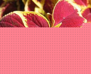 ~ݵĻZ(y)^đ