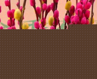 yĻZ(y)ɡo(w)Пo(w)