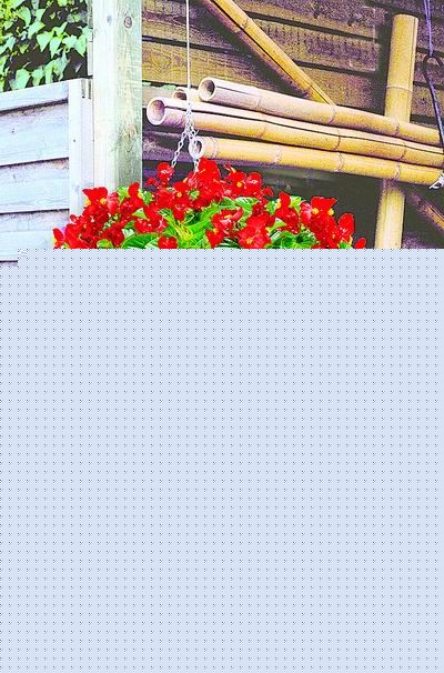 ļ