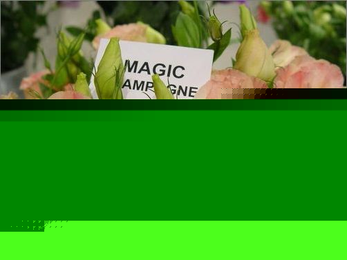 ʮ˹۵ĻZ