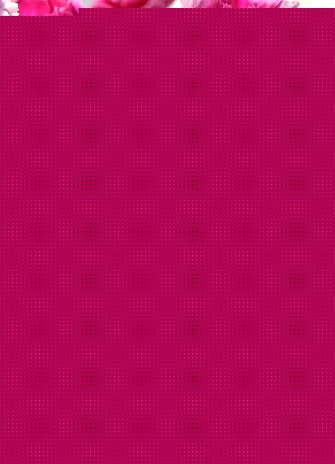 ܰDƬ