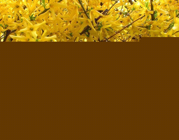 ӭôB(yng)