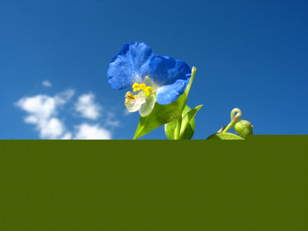 Ųݵʳrֵⶾ