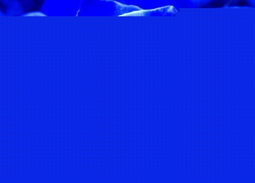 {ɫ