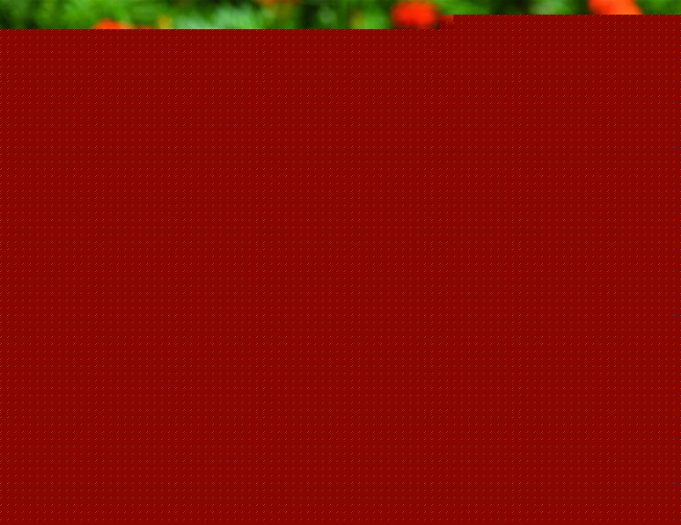 ܰ