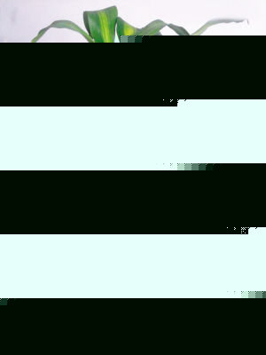 ľ~ƬSǺ(D)