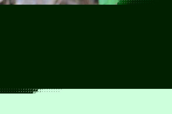 Җ|ω