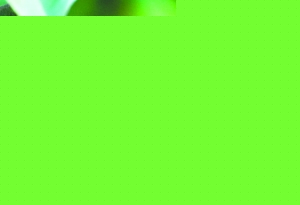 V|ؑc x