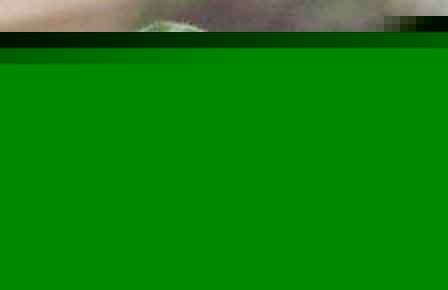 _mh߲