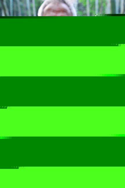Lɳִfܻxu(D)