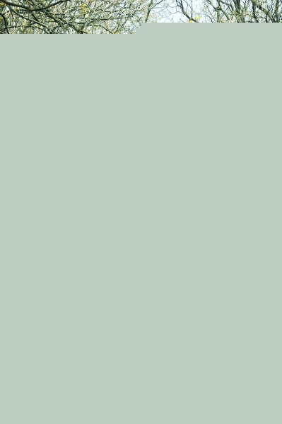 ~ɣ·ʬF(xin)“֮”