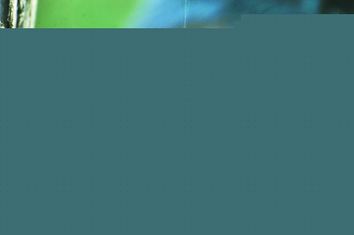 @ǵڽzϵ“”