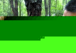 FɽƺֈTͶ[ȷ䡣
