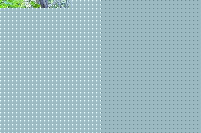 gˆTڬF(xin)ȾρĿݘ䇊ˎۡ