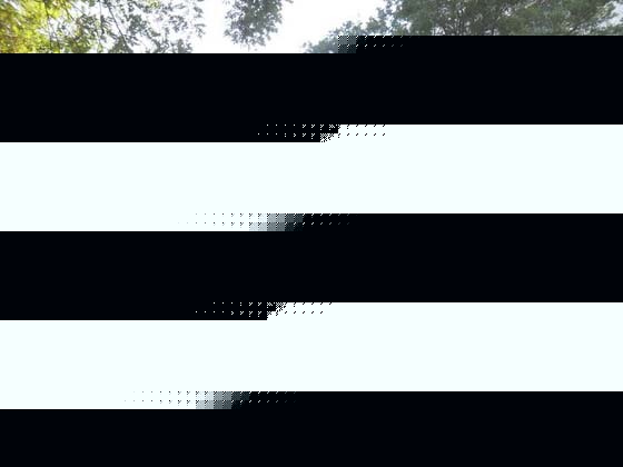rˎ皢׶