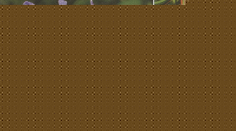 ţ