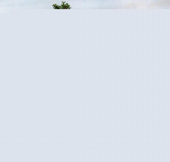 С~