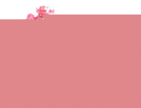 辰ِƷp